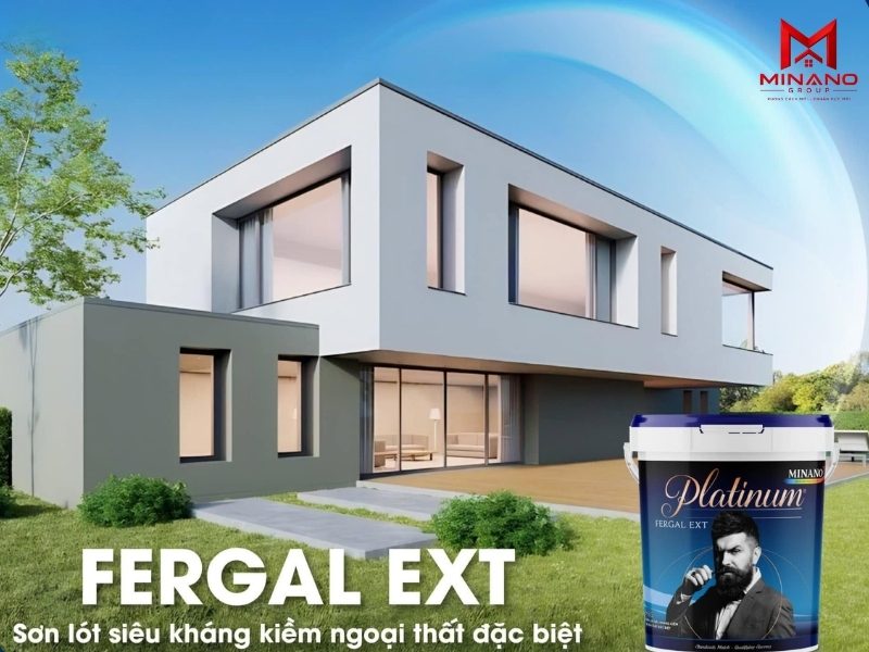 Quy trình xử lý tường bị nấm mốc trước khi sơn lại