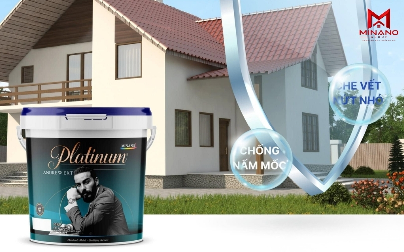 Sơn chống nấm mốc